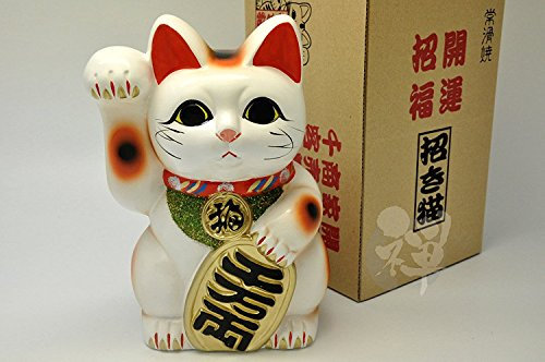 zenjapanstyle Japanease 6605 Glückskatze für Rechtshänder, Maneki Neko Koban 23,1 cm Weiß
