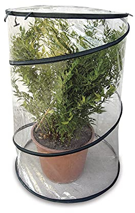 VERDELOOK | Mini Pop-Up Gewächshaus mit PVC Rahmen Höhe 110 cm Durchmesser 70 cm, faltbar, tragbar, für kleine Pflanzen, platzsparend, geeignet für Balkone und Terrassen