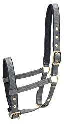 Kieffer Stallhalfter Nylon Fohlen