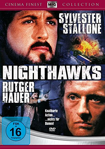 Nighthawks - Nachtfalken