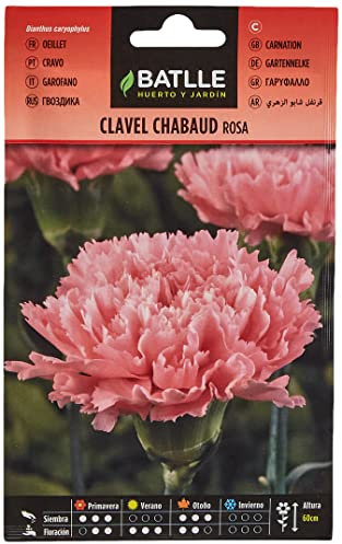 Semillas Batlle Clavel Chabaud ROSA