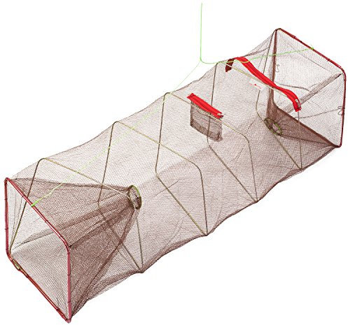 Arapaima® Fischreuse mit Futterbeutel - Köderreuse für Aale, Köderfische & Krebse - faltbar & wiederverwendbar für Angeln & Teich