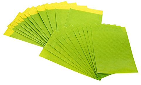 Logbuch-Verlag 25 små minipåsar 7 x 9 + 2 cm papperspåse platt papperspåse grön LIMONE äppelgrön förpackning minipåse papper