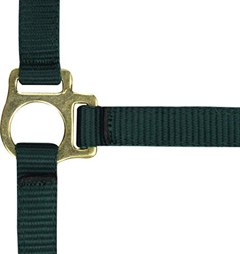 Ekkia Nylon Fohlenhalfter, 2 fach verstellbar, verschiedene Farben, Farbe:dunkelgrün, Geschlecht:Fohlen