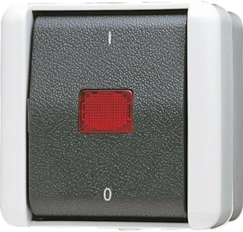 Jung 802KOW Wipp-Kontrollschalter aus 2-polig