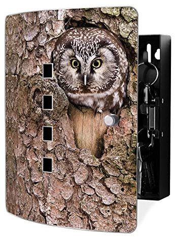 banjado Design Schlüsselkasten aus Edelstahl für 10 Schlüssel/Schlüsselschrank zur Schlüssel Aufbewahrung 24 x 21,5 x 7cm groß mit praktischem Magnetverschluss/Motiv Eule