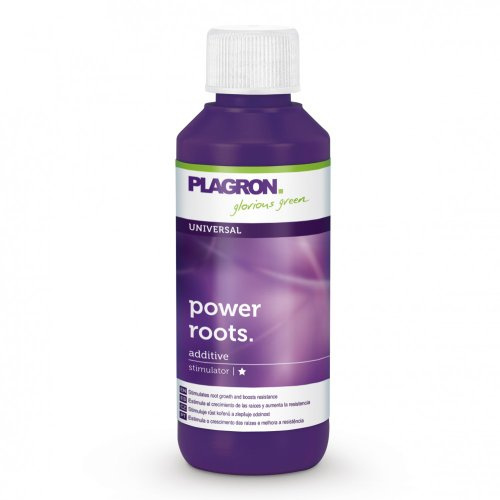 Plagron Power Roots 100 ml
