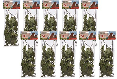 Dehner Best Nature Nagersnack, Nagerfutter 100 % natürlich, für Zwergkaninchen / Nager, Haselnusszweige, 10 x 25 g (250 g)