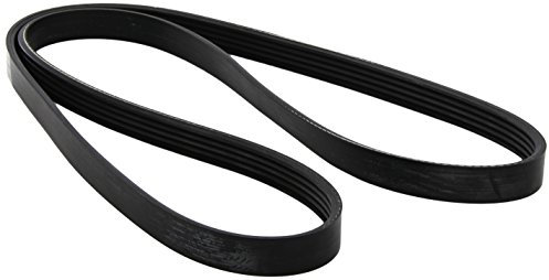 Dayco 5PK1435 Correa Trapecial Poli V