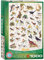 EuroGraphics EG60001259 Puzzle Vögel