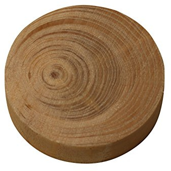 100 Stk Naturäste aus Fichte 15x9 mm - Astdübel mit Fase made in Austria