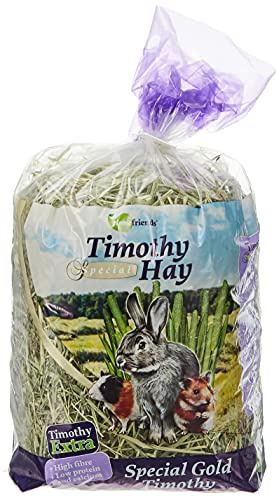 Homefriends Timothy Fieno per conigli, nani, criceti, porcellini d'India e roditori, cibo per conigli, con fibra per uso dentale del roditore, 600 g (confezione da 1)
