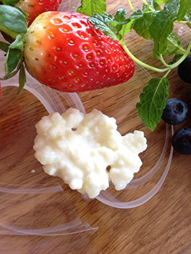 Granuli di kefir di latte fresco organico, 10 g