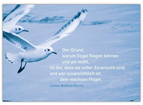 Kartenkaufrausch Im 5er Set: Zuversichtliche Glückwunschkarte zur Konfirmation/Firmung mit Möwe Der Grund, warum Vögel fliegen können.