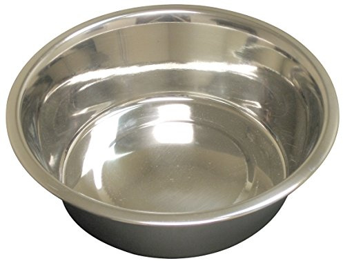 QT Dog Brake-Fast Anti-Skid Bowl, Medium, Blue
