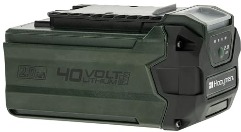 Hooyman Cordless 40 Volt Pole Saw Battery with Charge Level Indicator, 70 Minutes of Power Per Charge, and 40 Percent Longer Life for Tree Pruning, Tree Trimming, Hunting, Camping, and Outdoor