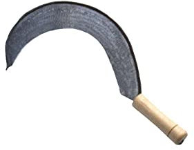 FALCIOLA EXTRA LARGA mm.555 900 FALCI [FALCI ]