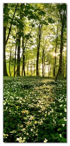 Wallario Selbstklebende Türtapete Waldanemonen und Sonnenstrahlen im Wald - Türposter 93 x 205 cm Abwischbar, rückstandsfrei zu entfernen