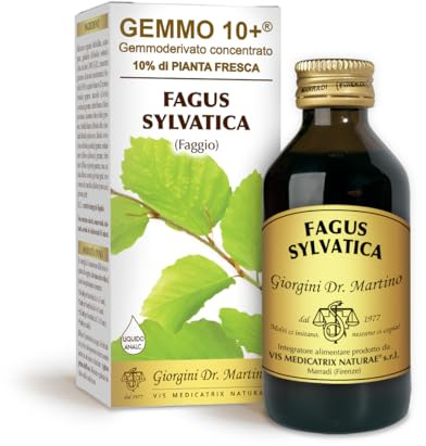 Dr Giorgini Integratore Alimentare, Faggio Gemmoderivato Concentrato Liquido Analcoolico - 100 ml