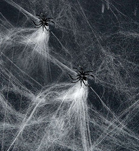 KarnevalsTeufel.de Halloween-Spinnennetz mit Spinne