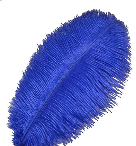 Sowder Lot de 10 plumes d’autruche pour décoration d'intérieur, mariage 30 à 35 cm