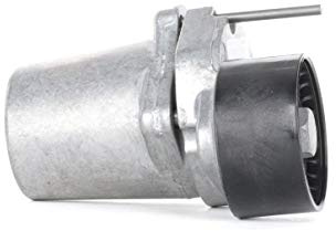 INA 534 0320 10 Spannarm, Keilrippenriemen | Kompatibel mit: BMW 1, 1, 1 Cabriolet, 1 Coupe, 3, 3 Cabriolet, 3 Coupe, 3 Touring, 5, 5 Gran Turismo, 5 Touring, 7, X1, X5