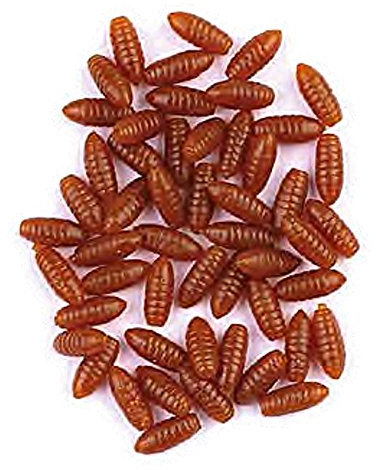 Künstliche Maden Angel Köder Trendex Caster Kunstmaden Angelköder Friedfisch Kunstköder (01 - Hellbraun)