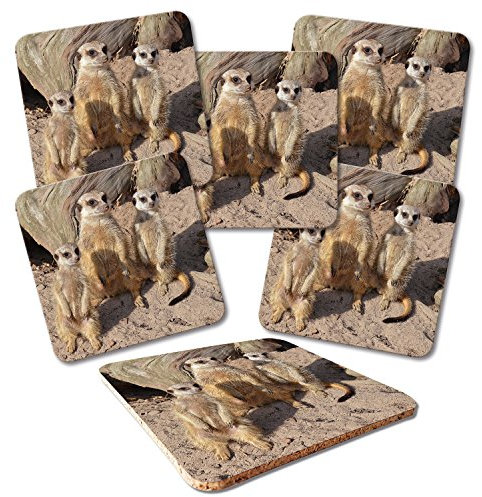 ADDIES Glas-Untersetzer 6-TLG.Set Bedruckt Motiv ERDMÄNNCHEN-03 in hochwertiger Klarsicht-Geschenkbox und Korkrückseite, Tier-Motiv