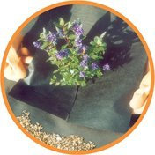 Nutley's 10m x 1m Weedban 50 Weed Control Membrane - Black