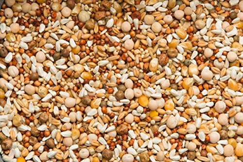 Purgrain European Supreme POP–50 lb bag