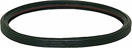VALSIR HT Ersatz-Lippendichtring DN 100