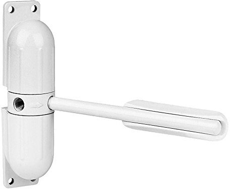 Burg Wachter DCW207 DCW White, Surface Mounted, Spring Loaded Door Closer with 1/2 Hour Fire Rating, Black, Brass, Polished, Satin Chrome