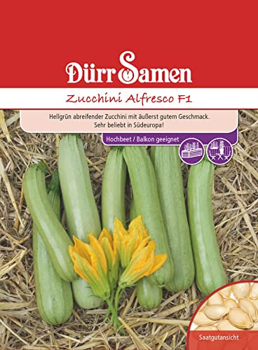 Dürr-Samen - Zucchini Alfresco F1 Saatgut