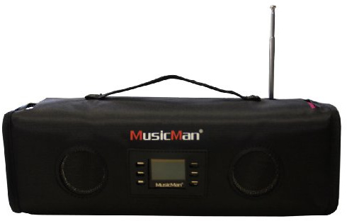 MusicMan Giant Schutztasche (schwarz) Original MusicMan Zubehör