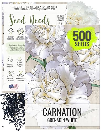 Seed Needs, Grenadin White Carnation Seeds - 500 Heirloom Seeds for Planting Dianthus caryophyllus - Annual Cut Flowers to Plant in the Garden (1 Pack)