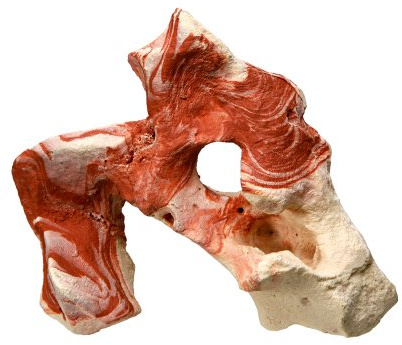 Nobby Pietra Acquario Decorativo, 10.5 x 8.5 x 15.5 cm