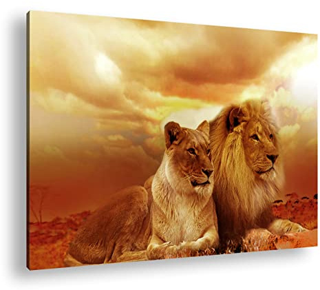 Leinwandbild Löwen in Afrika, ruhend im goldenen Gras der Savanne. Format: 120x80 cm XXL Kunstdruck Bild auf Keilrahmen/Wandbild/Wohnzimmer Deko
