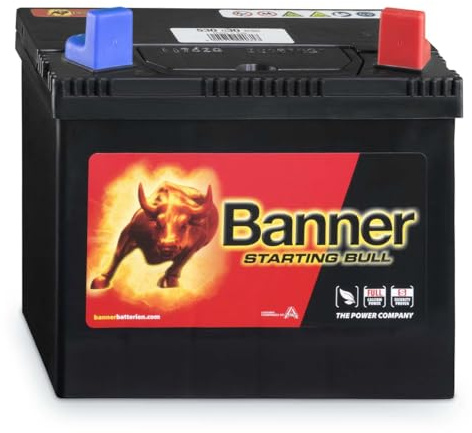 Banner 53030 Starting Bull 895 Starting Bull Erstausrüsterqualität Batterie