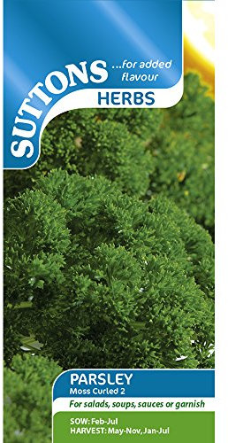 Suttons Seeds Moss Curled 2 Herb Parsley Seeds