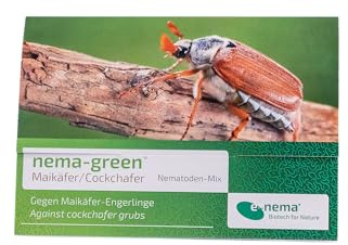 NEMA de Green Coccinelle (Mélange de NEMA toden contre Coccinelle-engerlinge) 75 Mio pour 100qm