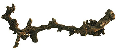 Lucky Reptile DLD-M Dark Grapevine, Medium