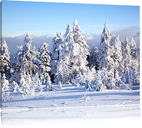 Pixxprint Winterwald, Größe: 60x40cm, Leinwandbild, fertig gespannt, Wandbild, Dekoration, Kunstdruck, kein Poster