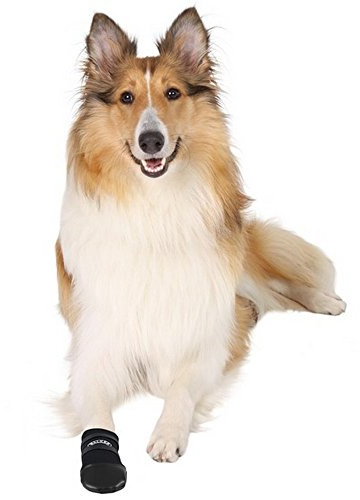 Trixie Pfotenschutz Walker Care für Hund, Schwarz, S, M, L, XL, XXL, XXXL, 2 Paar