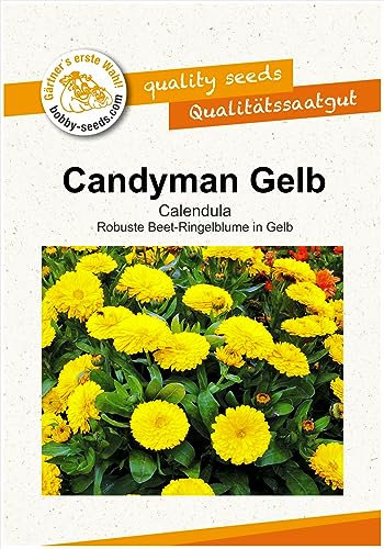 Blumensamen Candyman Gelb Calendula Portion