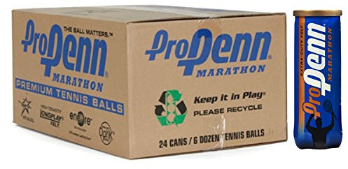HEAD Pro Penn Marathon (Holiday Pack) Extra Duty Tennis Balls (1-Case)