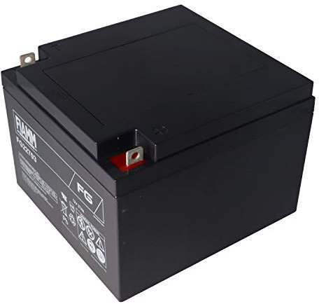 Fiamm FG22703 batteria al piombo da 12 volt, 27 Ah