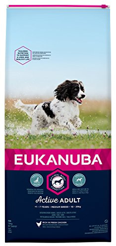 EUKANUBA Hund Adult Medium Breed Huhn 12 kg