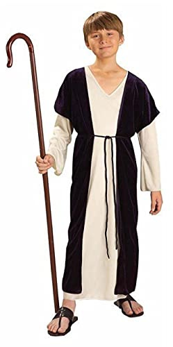 Rubies Child's Forum Biblical Times Shepherd Costume, Small for Themed Parties and Halloween