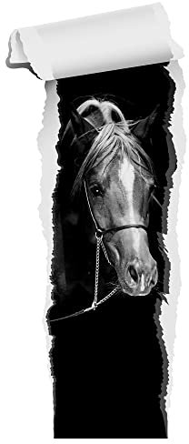 GRAZDesign Wandtattoo Pferd Tapete | Wandtattoo Kinderzimmer Mädchen | Wandsticker Pferdekopf braun | Deko Wanddeko selbstklebend XXL Schwarz Weiß Bild, 72x30cm