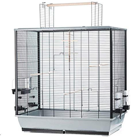 Ollesch Großer Vogelkäfig Wellensittich Kanarien Großsittich mit Freisitz und Zubehör